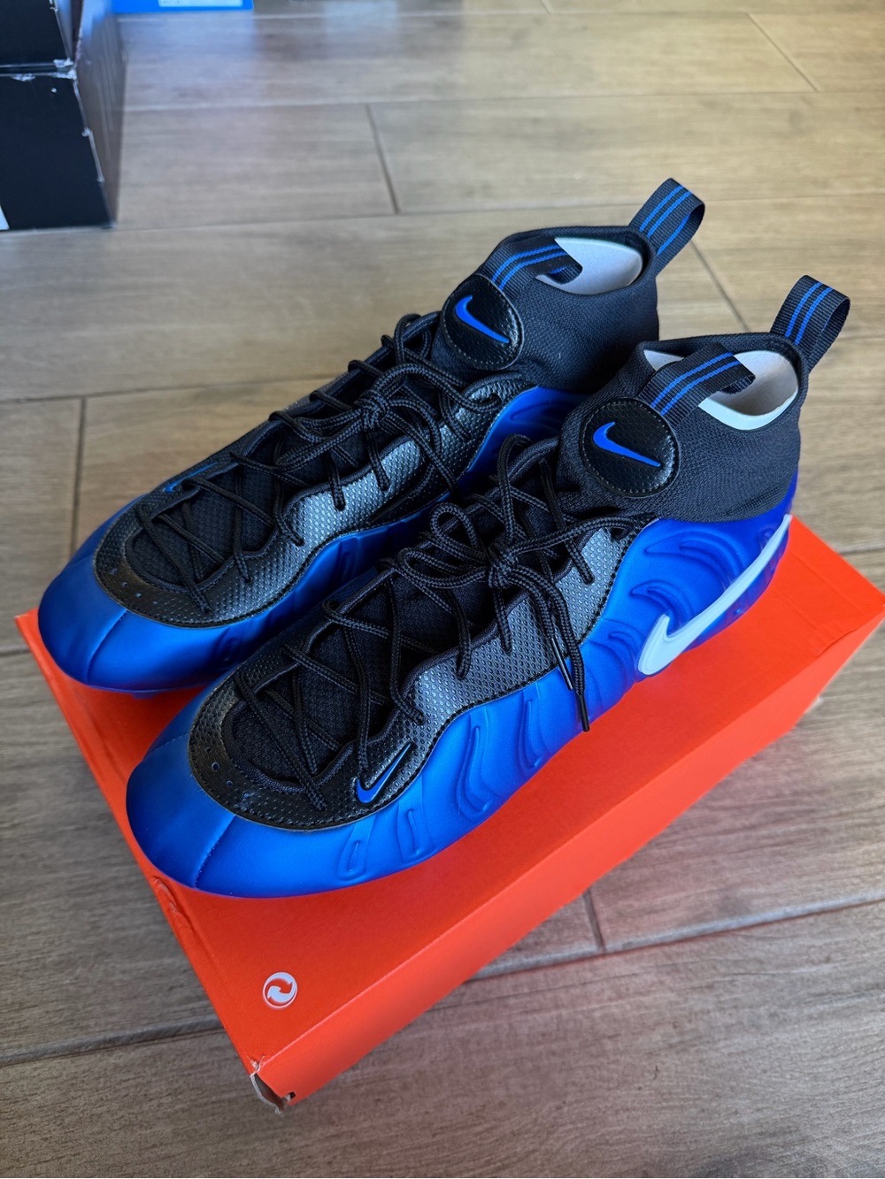 Nike Vaporposite Pro( box without lid )
